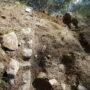 Nuove evidenze dagli scavi di archeologia preventiva